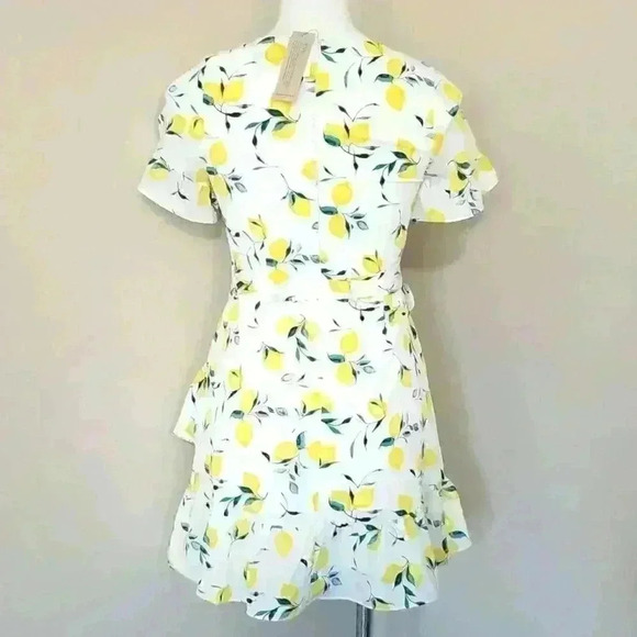 Banana Republic Frill Fit And Flare Lemon Print Dress - Picture 8 of 11